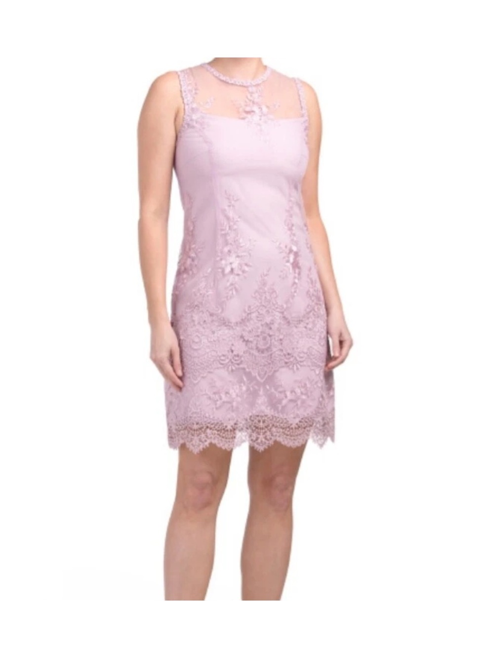 Nannette Blush Pink Lace Sheath Mini Dress